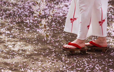 Women's feet in traditional Japanese geta shoes surrounded by fallen sakura petals. The portrait symbolizes the traditions and culture of the Japanese people.の写真素材