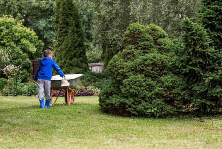 A boy with a garden wheelbarrow in the backyard of a house. The concept of gardening, country life,...