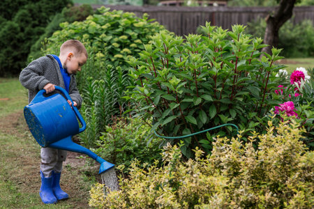 The concept of gardening, garden maintenance, and teaching a child to work. A boy with a blue...