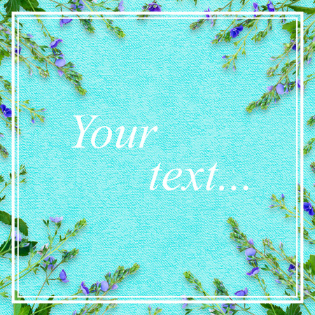 Spring background with small purple flowers. The name of the flower is Veronica chamaedrys. A square postcard with a white frame on a turquoise background. Flowers are located on the perimeter. Soft spring style.の写真素材