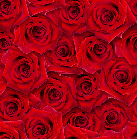 Seamless floral pattern. Chaotic arrangement of buds. Red rose flower. Romantic style.の写真素材