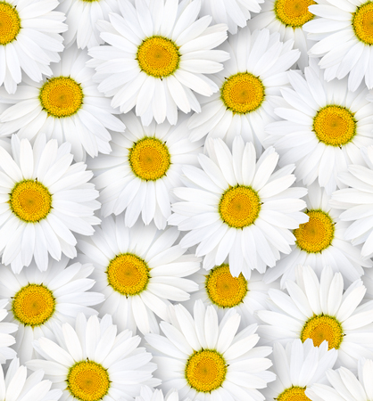 Seamless floral pattern. Chaotic arrangement of flowers. White chamomile flower. Spring-summer style.の写真素材
