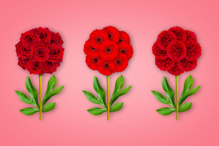 Three fantastic flower on a coral background. The composition of red roses, gerberas and peonies....