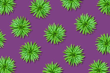 Natural background of lily leaves on a bright purple base. Image with a contrasting color scheme. Leaves are randomly arranged.の写真素材