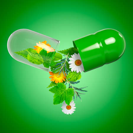 Creative image of homeopathic medicine capsule. Various herbs and inflorescences are poured out of the open pill. Medical theme. 3d rendering.の写真素材