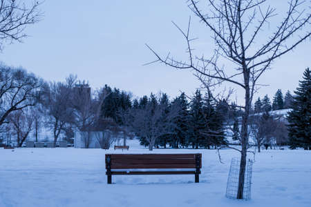 Benches in the snowの写真素材