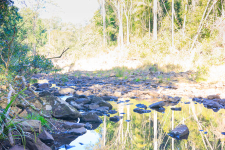 River in the forest at Chiangmai province, Thailand.
