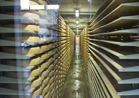 Cheese factory production shelves with aging cheeseの写真素材