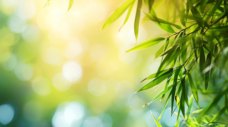 Bamboo leaves on blurred background with bokeh. nature backgroundの素材