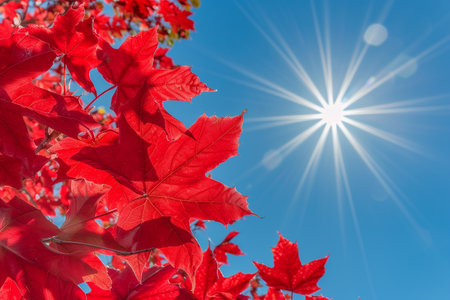 Autumn maple leaves on blue sky background with sun rays and lens flareの素材