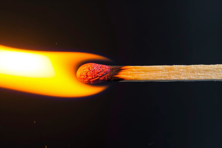 Burning match on a black background. Close-up shot.の素材