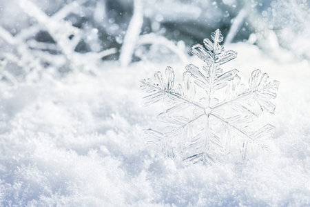 Snowflake on the snow. Christmas and New Year background with space for textの写真素材
