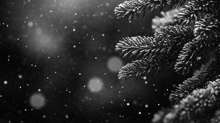 Fir tree branch covered with hoarfrost and snow. christmas backgroundの写真素材