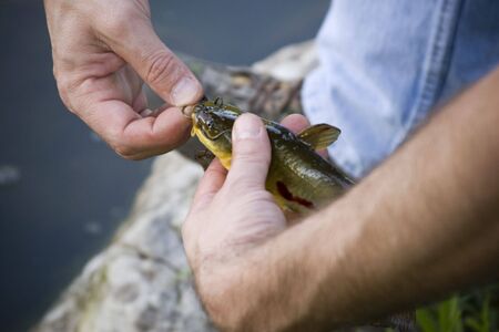 Man pulling the hook out of his first catchの写真素材