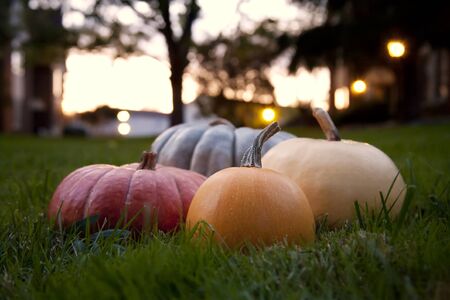 Outdoor Fall Decorationsの写真素材