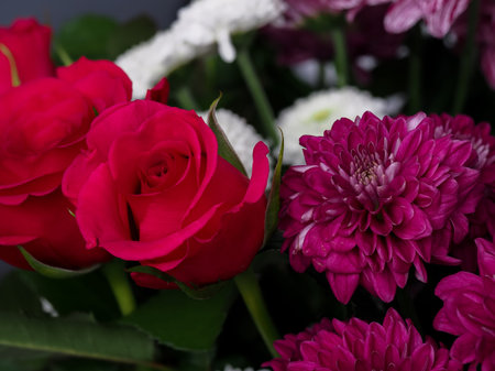 floral arrangement, red roses, green and purple chrysanthemums, white dahlias, daisies, natural...