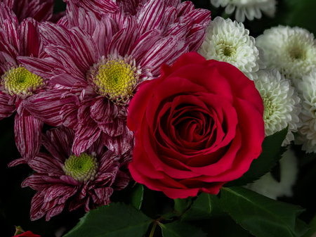 floral arrangement, red roses, green and purple chrysanthemums, white dahlias, daisies, natural...