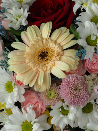 arrangement of colorful different types of flowers in a bouquet, daisy, carnation, dahlia, rose, gypsophila, limonium from a close distance, background, wallpaperの写真素材