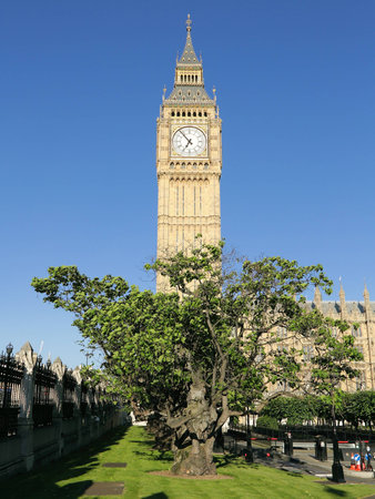 The look of London Eyes over Thames Riverの写真素材