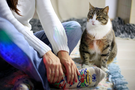 Woman in jeans sits on floor wit legs crossed and hands above. No face. Cat near pwner. Pet at home. Animals in everyday life. Casual style. Waiting for Christmas. Winter evening in family.の写真素材