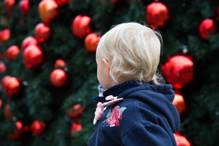 Blond caucasian baby girl in dark blue hoodie with red flower look at Christmas tree with big new year scarlet balls. Winter holidays for children. Place for text. Happy childhood concept.の写真素材