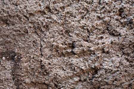 Grey concrete surface. exterior cement wall with small stones. Background, Wallpaper textured picture. top view. Nobody. Copy and test space. Aged wall pattern. Construction workの写真素材