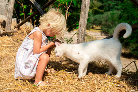 Blond baby girl is petting homeless white cat outdoors. Growing in touch with animals. Friendship contest. Children and pets. Vacation in countryside. Communication. Best friend. Exploring the worldの写真素材