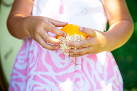 Child peels an orange. Caucasian baby girl in white and pink dress holds in hands juicy citrus. Summer day harvest scene. Grow healthy concept. Raw food and childhood. Healthy dietingの写真素材