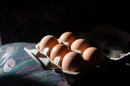 High contrast picture. Set of six brown fresh eggs in grey paper container. Rembrandt natural...
