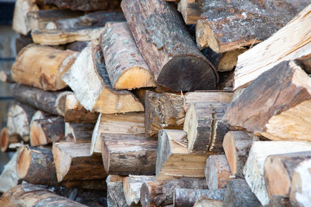 A large pile of logs stacked carefully on top of each otherの写真素材