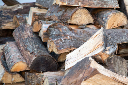 A large pile of logs stacked carefully on top of each otherの写真素材