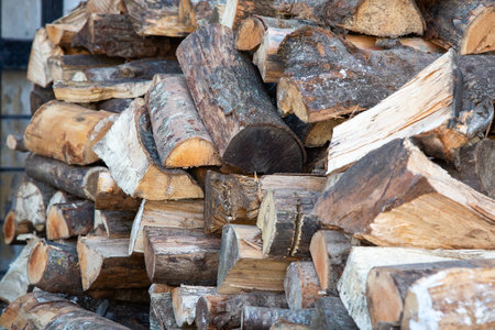A substantial pile of logs that are neatly stacked on top of each otherの写真素材