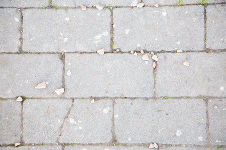 A detailed close up of a brick walkway adorned with scattered leaves on itの写真素材