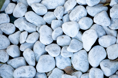 There is a cluster of white stones scattered on a dark surfaceの写真素材