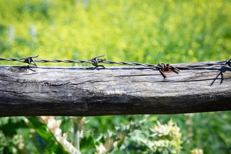 A barbed wire fence stands prominently with a wooden post nearbyの写真素材