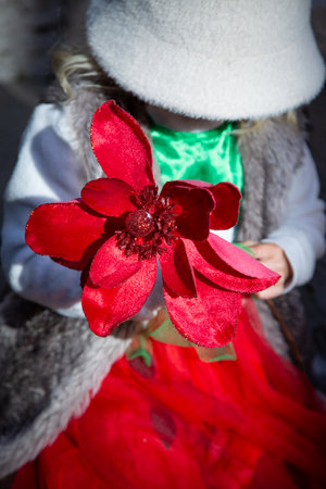 A girl in a red dress gently holds a red flower in her handsの写真素材