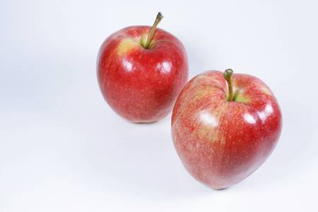 Two Gala apples isolated on a white backgroundの写真素材