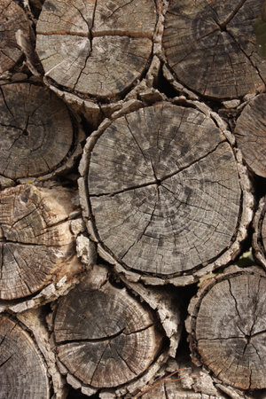 Stackof firewood to be used as a background