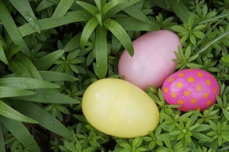 Three easter eggs hidden in the flower gardenの写真素材