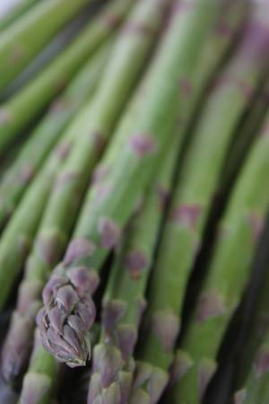 A bunch of fresh asparagus stalks for steamingの写真素材