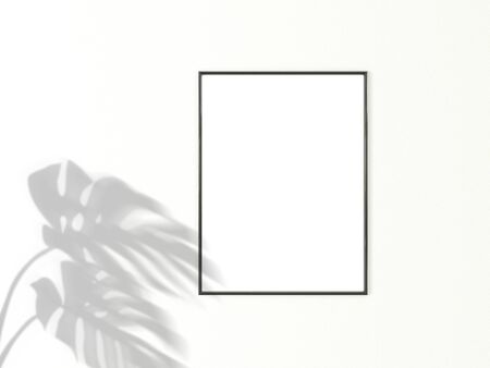 Black frame for photo or picture mockup on white background with shadow of monstera leaves. 3D rendering.の写真素材