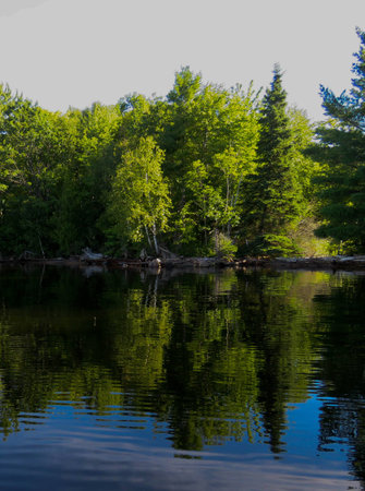 driftwood reflectionsの写真素材