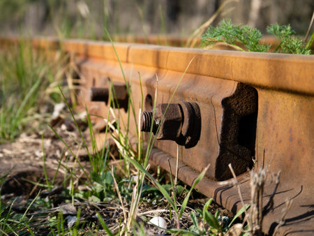 Rusty nuts fastening railroad tracks in the grass