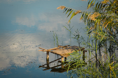 A small wooden bridge near the shore in the reeds for fishingの写真素材