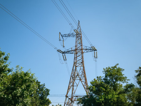 A high voltage power line mast rises above the trees against the sky.