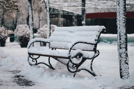 Park bench covered with snowの写真素材