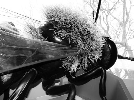 plastic bumble bee
