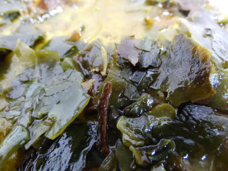 A closeup shot of a bowl of seaweed with a blurry backgroundの写真素材