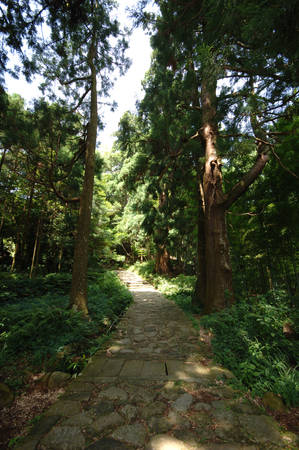 Kumano, daimonzakaの写真素材