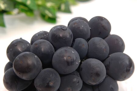 The grapesの写真素材